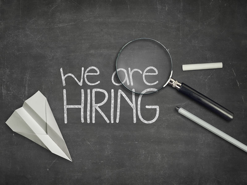 sindh technology career